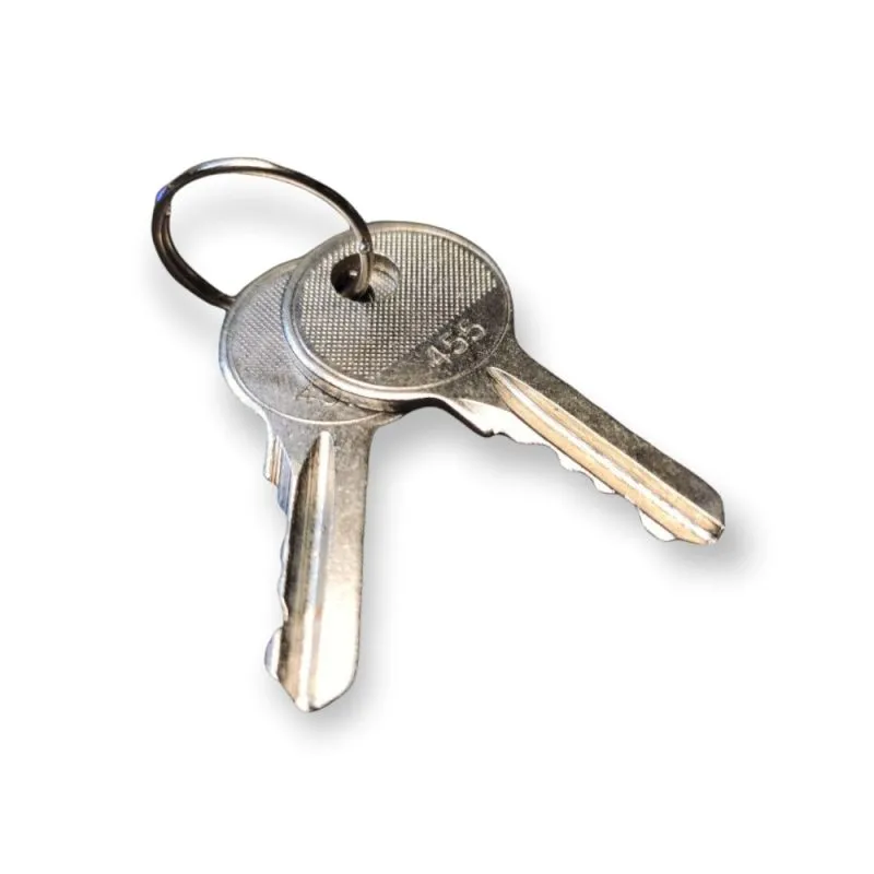 1 Paar Ersatzschlüssel für Empfänger der DBR02 Funkzündanlagen