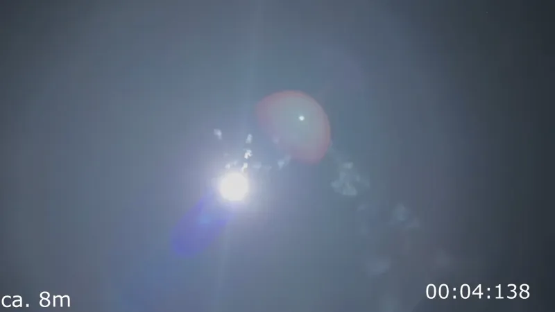 ABA Strobe Salut Raketensortiment – 10 Stück | Made in Germany