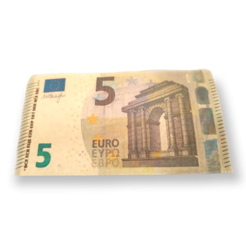 Pyrogeld Zaubergeld 5 Euro Schein