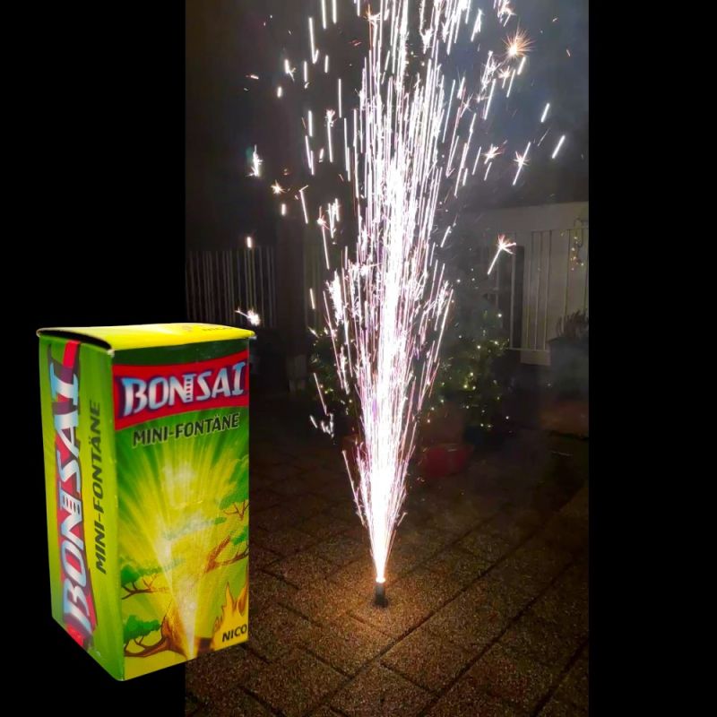 Bonsai Silber Fontäne 10 Sek. NICO