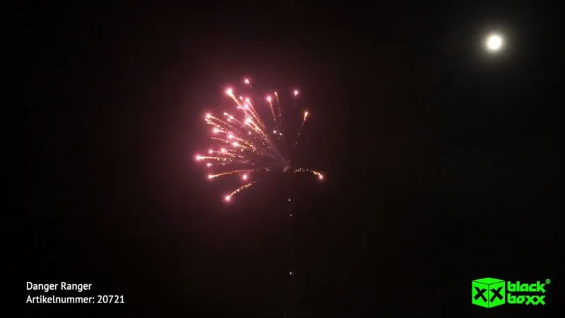 Danger Ranger – Goldweiden mit Purpur 16 Schuss | Blackboxx