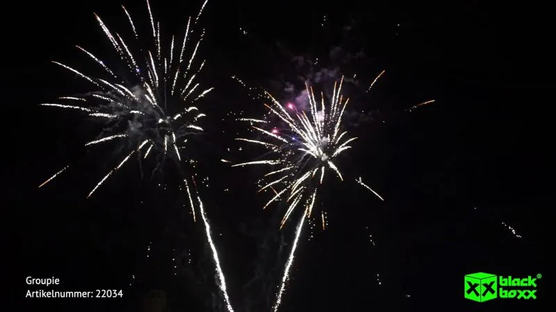 Groupie Verbundfeuerwerk Blackboxx 45 Schuss 45 Sek. Backboxx