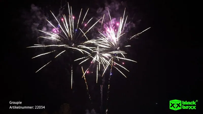 Groupie Verbundfeuerwerk Blackboxx 45 Schuss 45 Sek. Backboxx