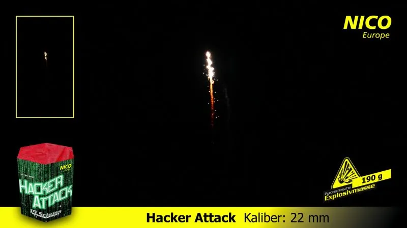 Hacker Attack, 19 Schuss | NICO