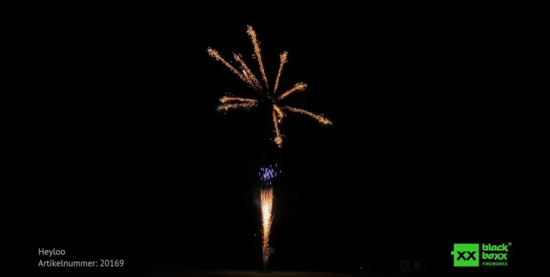 Heyloo Brokat Feuerwerksbatterie 16 Schuss | Blackboxx