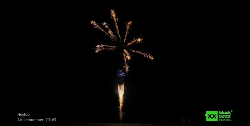 Heyloo Brokat Feuerwerksbatterie 16 Schuss | Blackboxx