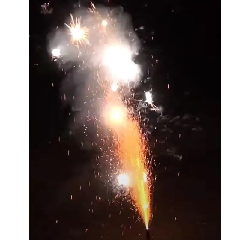 Predator Pack | Mega Jugend Sortiment 66 Teile | Lesli Silvesterzauber