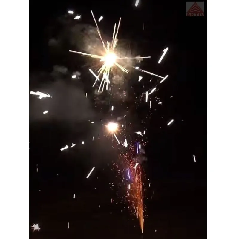 Predator Pack | Mega Jugend Sortiment 66 Teile | Lesli Silvesterzauber