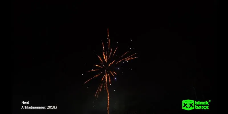 Nerd 25 Schuss Feuerwerk | Blackboxx