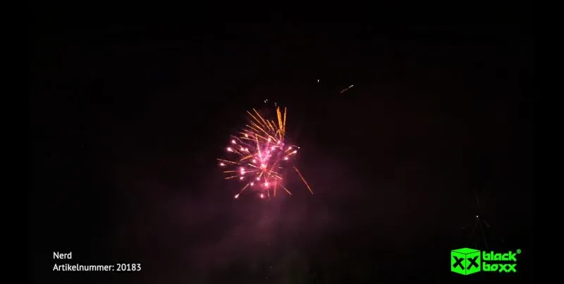 Nerd 25 Schuss Feuerwerk | Blackboxx