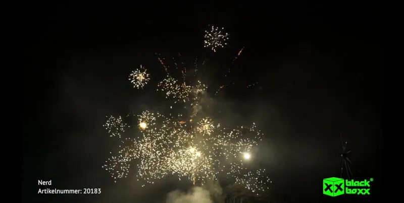 Nerd 25 Schuss Feuerwerk | Blackboxx