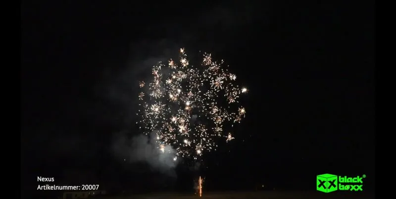 Nexus 15 Schuss – Silberne Crackling-Feuersäulen & knisternde Buketts | 20 mm | ca. 20 Sek. | Blackboxx