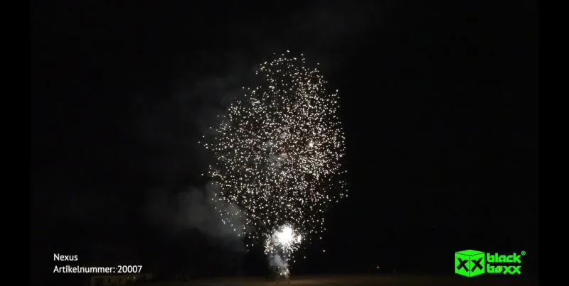 Nexus 15 Schuss – Silberne Crackling-Feuersäulen & knisternde Buketts | 20 mm | ca. 20 Sek. | Blackboxx