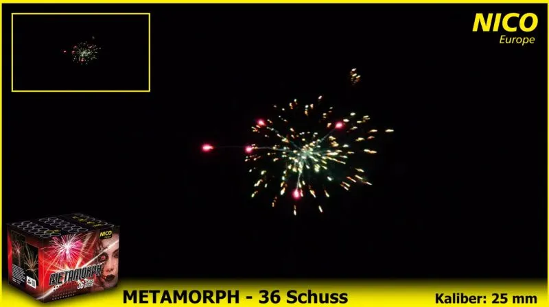 Metamorph 36 Schuss 30 Sek. NICO