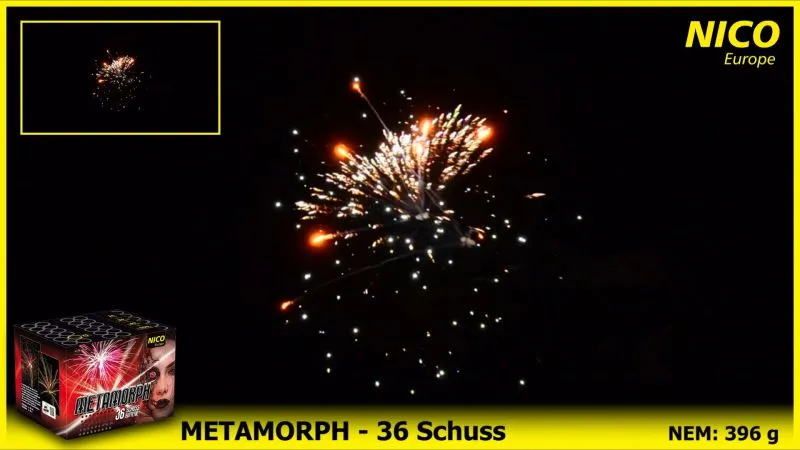 Metamorph 36 Schuss 30 Sek. NICO