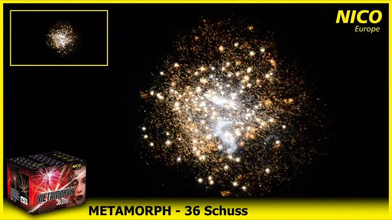 Metamorph 36 Schuss 30 Sek. NICO