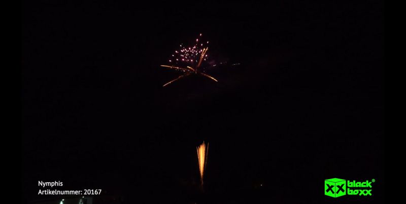 Nymphis 13 Schuss – Titangold-Feuertöpfe & Goldflimmerpalmen mit Purpursternen | 30 mm | ca. 20 Sek. | Blackboxx