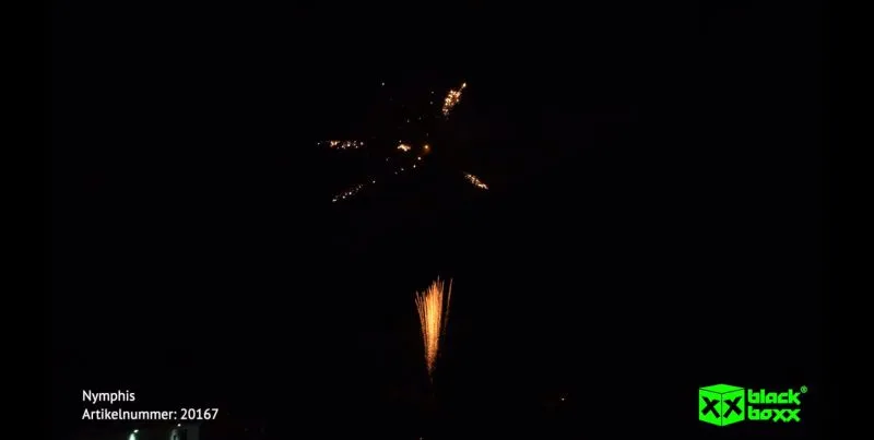 Nymphis 13 Schuss – Titangold-Feuertöpfe & Goldflimmerpalmen mit Purpursternen | 30 mm | ca. 20 Sek. | Blackboxx