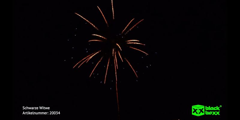 Schwarze Witwe 10 Schuss – Titangold-Palmen mit tiefblauen Sternen | 25 mm | ca. 25 Sek. | Blackboxx