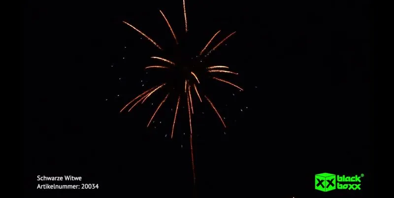 Schwarze Witwe 10 Schuss – Titangold-Palmen mit tiefblauen Sternen | 25 mm | ca. 25 Sek. | Blackboxx