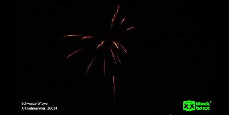 Schwarze Witwe 10 Schuss – Titangold-Palmen mit tiefblauen Sternen | 25 mm | ca. 25 Sek. | Blackboxx