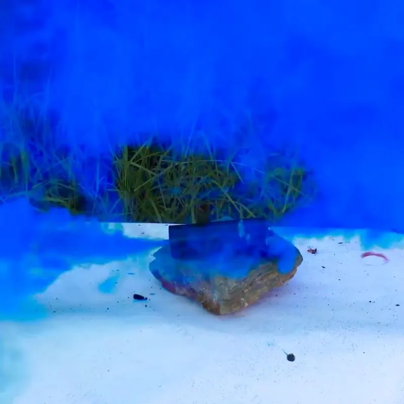 Smoke 50 Sek. Rauch blau Doppelseitig mit Reißzünder NICO