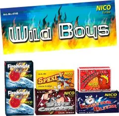 Wild Boys Jugendfeuerwerk Sortiment 82 Teile | NICO