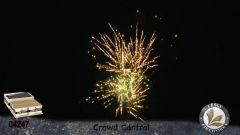 Lesli Crowd Control 130Schuss 4erVerbund ca. 120 Sek  