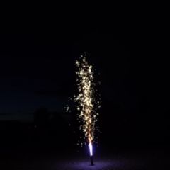 Gold Fontäne Feuersäule No.1. Blackboxx