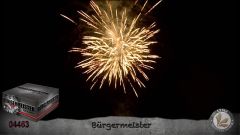 Verbundfeuerwerk Lesli Bürgermeister 100 Schuss  ca. 80 sec.