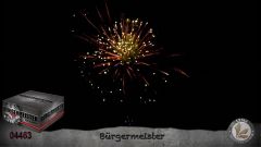 Verbundfeuerwerk Lesli Bürgermeister 100 Schuss  ca. 80 sec.