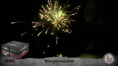 Verbundfeuerwerk Lesli Bürgermeister 100 Schuss  ca. 80 sec.