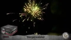 Verbundfeuerwerk Lesli Bürgermeister 100 Schuss  ca. 80 sec.