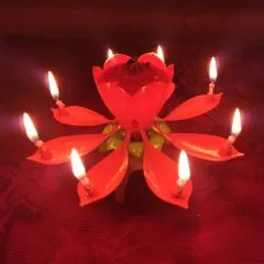 Geburtstagsfontäne mit Musik | Happy Birthday Melodie | Brenndauer 5 Min | NICO