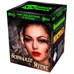 Schwarze Witwe 10 Schuss – Titangold-Palmen mit tiefblauen Sternen | 25 mm | ca. 25 Sek. | Blackboxx